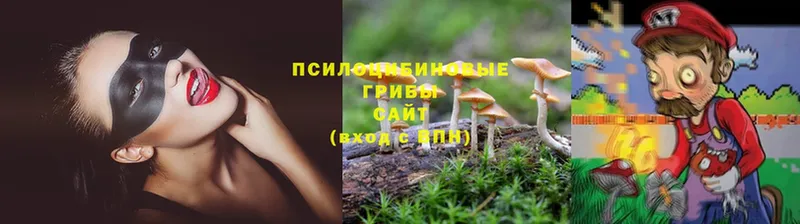 Галлюциногенные грибы GOLDEN TEACHER  Добрянка 